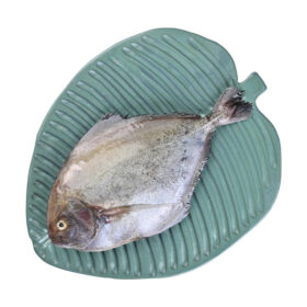 Black Pomfret (400-500 Gms / Pc)